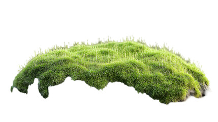 Fototapeta premium Lush Green Grass Tuft with Isolated. (3)