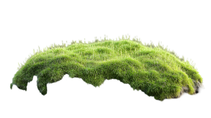 Lush Green Grass Tuft with Isolated. (3)