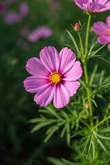 Fototapeta premium there is a pink flower that is growing in the grass