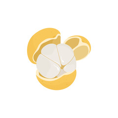 Local Tropical Fruits Illustration