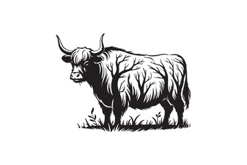 highland tree cow illustration vector