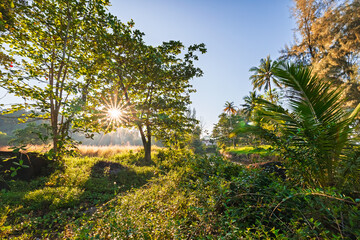 Sunlit landscape of Phuket, Thailand. Concept amazing view resort travel Thai