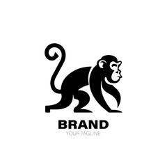 Monkey Logo. Monkey Logo Design. Monkey Logo Brand. Monkey Logo Vector Design Isolated on White Background