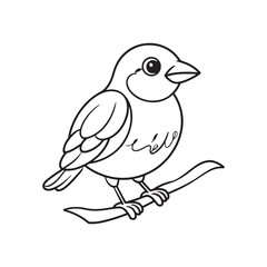 bird on a branch of tree