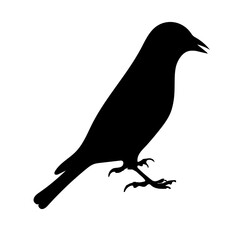 Silhouettes  birds design