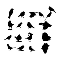 Silhouettes  birds design