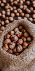 Close Up, Fresh Organic Hazelnuts in Burlap Sack, Autumn Nut Harvest, Rustic Background