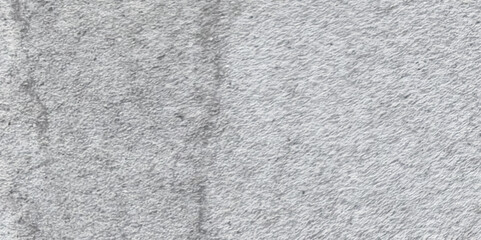 Abstract texture grunge background of black and white. dust particle dirt overlay background old cement wall painted white.