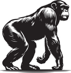 Fototapeta premium Monkey Clipart Silhouette, monkey illustration, monkey silhouette vector isolated on white background