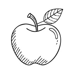 apple icon, apple vector illustration-simple illustration of apple, perfect for apple logos and icons