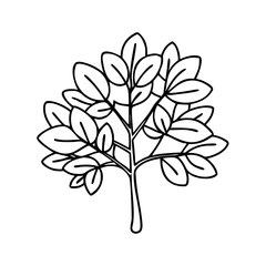 Obraz premium ash tree icon, ash tree vector illustration-simple illustration of ash tree, perfect for ash tree logos and icons