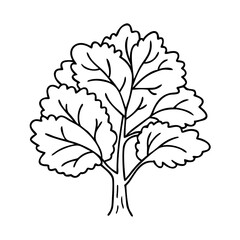 Obraz premium beech tree icon, beech tree vector illustration-simple illustration of beech tree, perfect for beech tree logos and icons