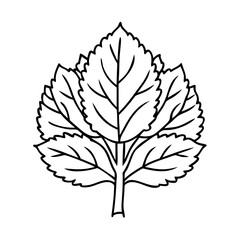 beech tree icon, beech tree vector illustration-simple illustration of beech tree, perfect for beech tree logos and icons