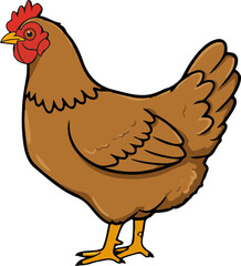 Vector illustraion of a hen