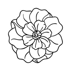 Obraz premium begonia flower icon, begonia flower vector illustration-simple illustration of begonia flower, perfect for begonia flower logos and icons