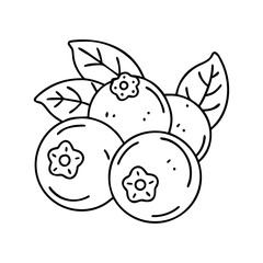 blueberry icon, blueberry vector illustration-simple illustration of blueberry, perfect for blueberry logos and icons