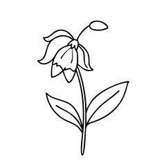 bluebell flower icon, bluebell flower vector illustration-simple illustration of bluebell flower, perfect for bluebell flower logos and icons