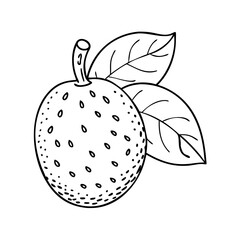 breadfruit icon, breadfruit vector illustration-simple illustration of breadfruit, perfect for breadfruit logos and icons