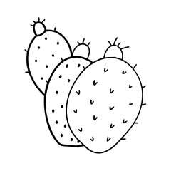 cactus pear icon, cactus pear vector illustration-simple illustration of cactus pear, perfect for cactus pear logos and icons