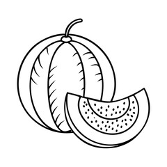 cantaloupe icon, cantaloupe vector illustration-simple illustration of cantaloupe, perfect for cantaloupe logos and icons