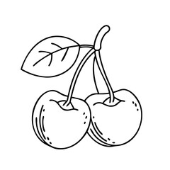 capulin cherry icon, capulin cherry vector illustration-simple illustration of capulin cherry, perfect for capulin cherry logos and icons