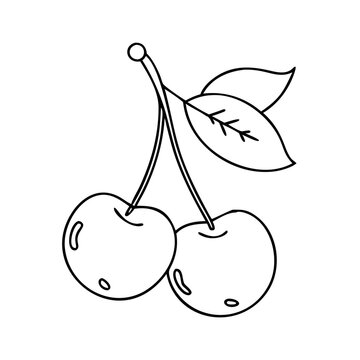 capulin cherry icon, capulin cherry vector illustration-simple illustration of capulin cherry, perfect for capulin cherry logos and icons