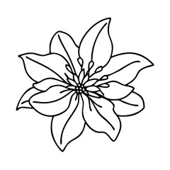 clematis flower icon, clematis flower vector illustration-simple illustration of clematis flower, perfect for clematis flower logos and icons