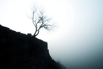An ancient castle wall, crumbling with time, and a dark silhouette standing against the misty horizon.

