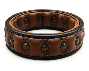 High-Quality Leather Dog Collar with Studded Design Isolated on White Background