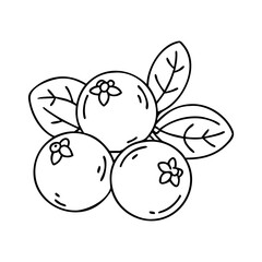cranberry icon, cranberry vector illustration-simple illustration of cranberry, perfect for cranberry logos and icons