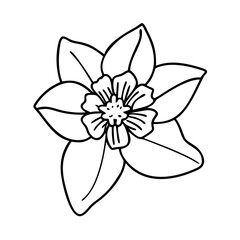 daffodil flower icon, daffodil flower vector illustration-simple illustration of daffodil flower, perfect for daffodil flower logos and icons