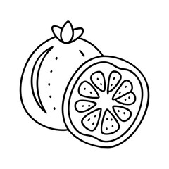 feijoa fruit icon, feijoa fruit vector illustration-simple illustration of feijoa fruit, perfect for feijoa fruit logos and icons