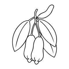 fruit blue honeysuckle icon, fruit blue honeysuckle vector illustration-simple illustration of fruit blue honeysuckle, perfect for fruit blue honeysuckle logos and icons