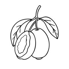hog plum icon, hog plum vector illustration-simple illustration of hog plum, perfect for hog plum logos and icons