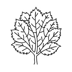 hornbeam tree icon, hornbeam tree vector illustration-simple illustration of hornbeam tree, perfect for hornbeam tree logos and icons