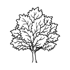 Obraz premium hornbeam tree icon, hornbeam tree vector illustration-simple illustration of hornbeam tree, perfect for hornbeam tree logos and icons