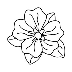 impatiens flower icon, impatiens flower vector illustration-simple illustration of impatiens flower, perfect for impatiens flower logos and icons