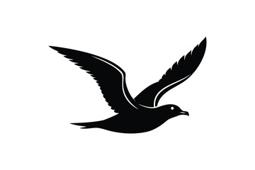Obraz premium Seagull flying silhouette on white background