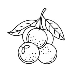 jabuticaba fruit icon, jabuticaba fruit vector illustration-simple illustration of jabuticaba fruit, perfect for jabuticaba fruit logos and icons