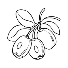 jujube fruit icon, jujube fruit vector illustration-simple illustration of jujube fruit, perfect for jujube fruit logos and icons