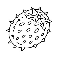 kiwano horned melon icon, kiwano horned melon vector illustration-simple illustration of kiwano horned melon, perfect for kiwano horned melon logos and icons