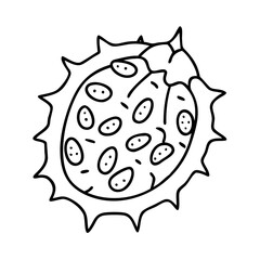 kiwano horned melon icon, kiwano horned melon vector illustration-simple illustration of kiwano horned melon, perfect for kiwano horned melon logos and icons