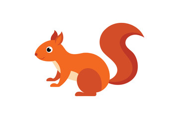 Squirrel vector on white background