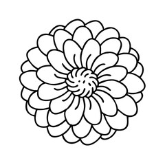 lilac flower icon, lilac flower vector illustration-simple illustration of lilac flower, perfect for lilac flower logos and icons