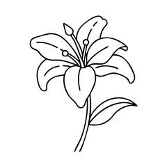 lily flower icon, lily flower vector illustration-simple illustration of lily flower, perfect for lily flower logos and icons