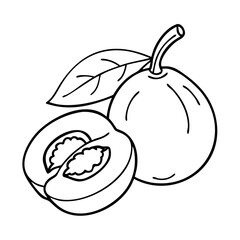 loquat fruit icon, loquat fruit vector illustration-simple illustration of loquat fruit, perfect for loquat fruit logos and icons