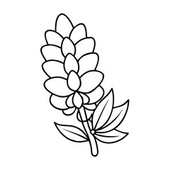 lupine flower icon, lupine flower vector illustration-simple illustration of lupine flower, perfect for lupine flower logos and icons