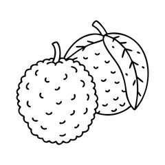 lychee icon, lychee vector illustration-simple illustration of lychee, perfect for lychee logos and icons
