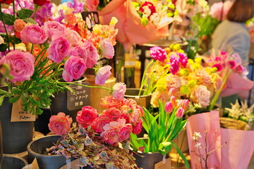 家族への贈り物