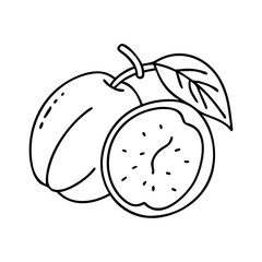 marula fruit icon, marula fruit vector illustration-simple illustration of marula fruit, perfect for marula fruit logos and icons